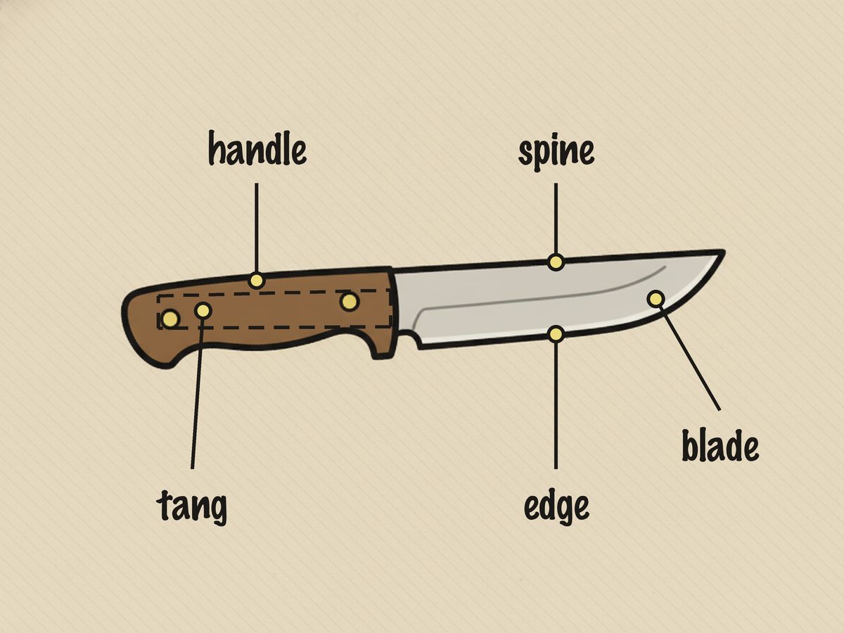 Bushcraft knives anatomy diagram: labelled blade, spine, edge, handle and tang of a fixed blade knife